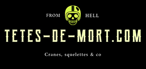 boutique tete de mort